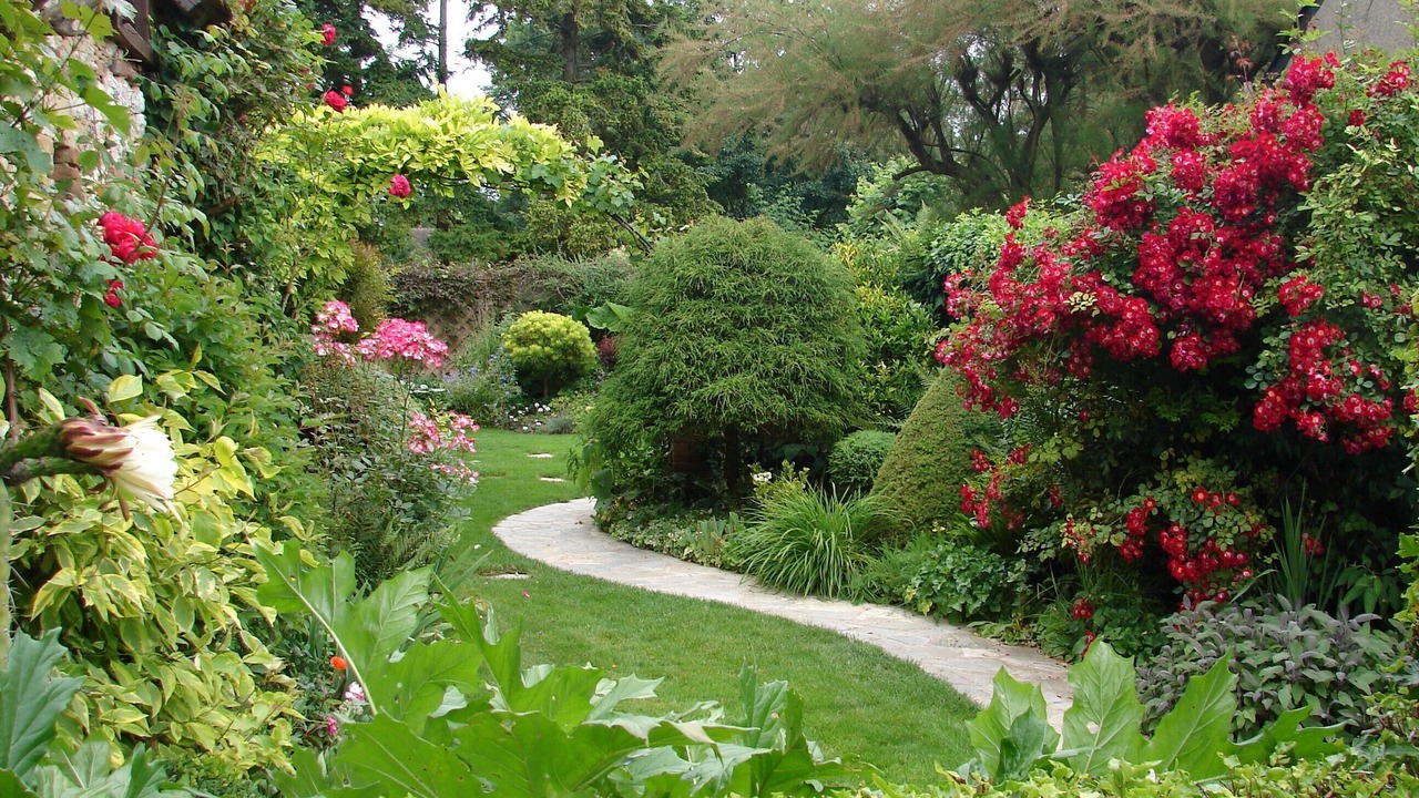 Photo of Outdoor in Cour-Cheverny