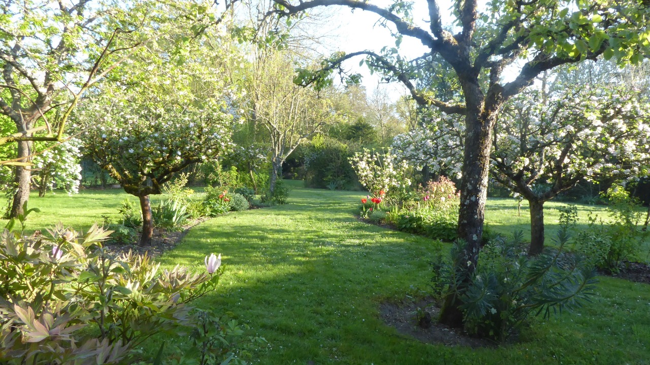 Photo of Outdoor in Cour-Cheverny