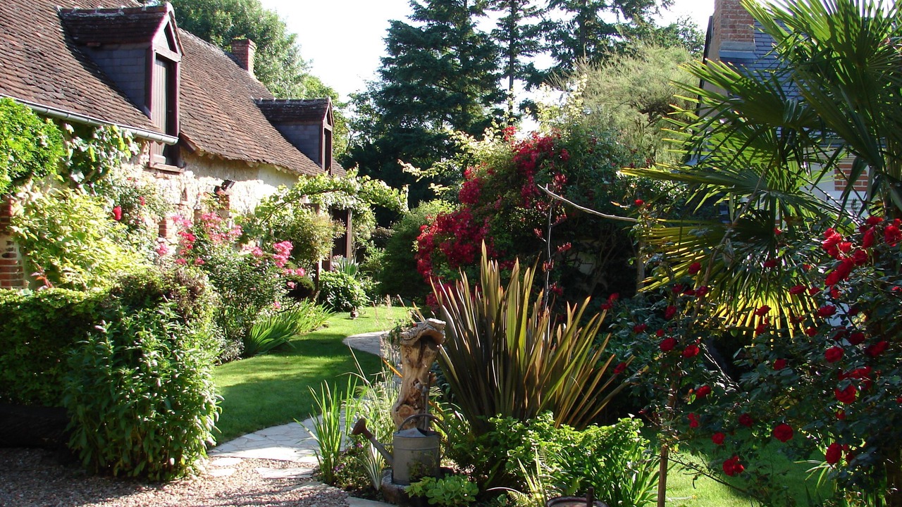 Photo of Outdoor in Cour-Cheverny