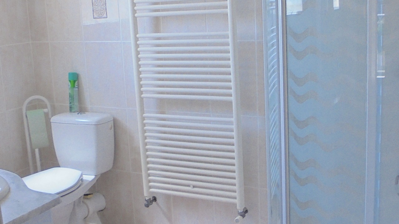 Photo of Bathroom in Saint-Victor-la-Coste