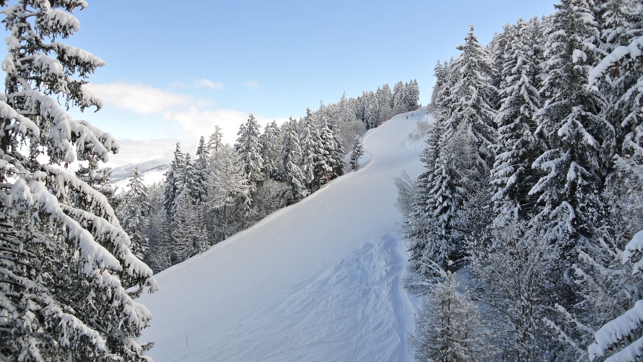 Photo of Others in Saint-Pierre-de-Clages