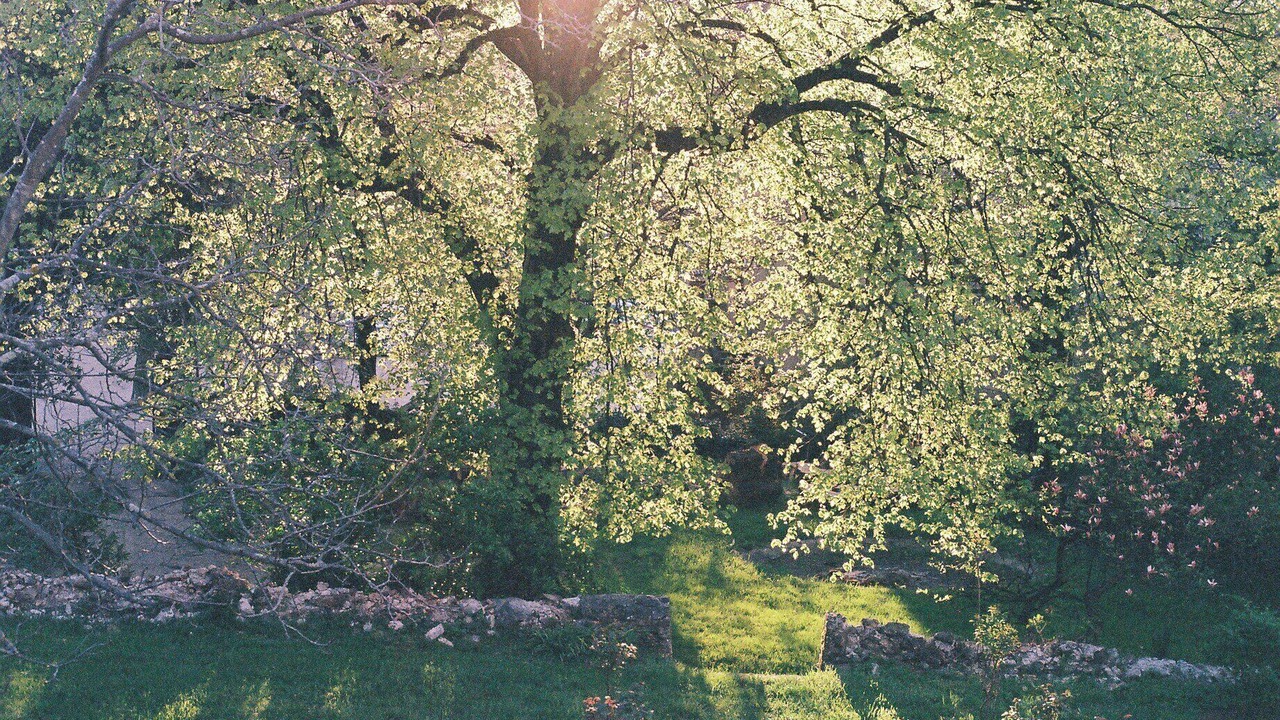 Photo of Outdoor in Genolhac