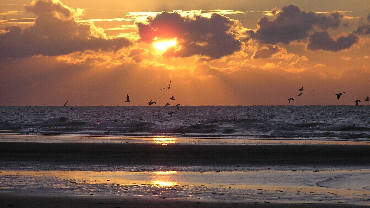 Photo of Others in Le Crotoy