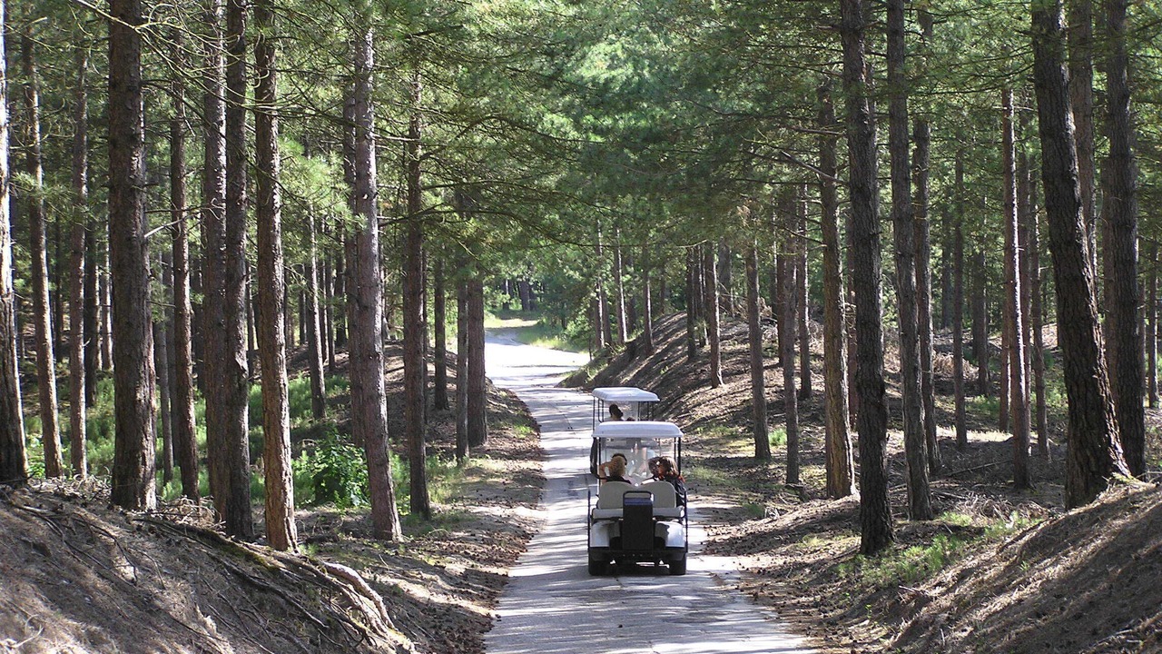 Photo of Outdoor in Le Crotoy