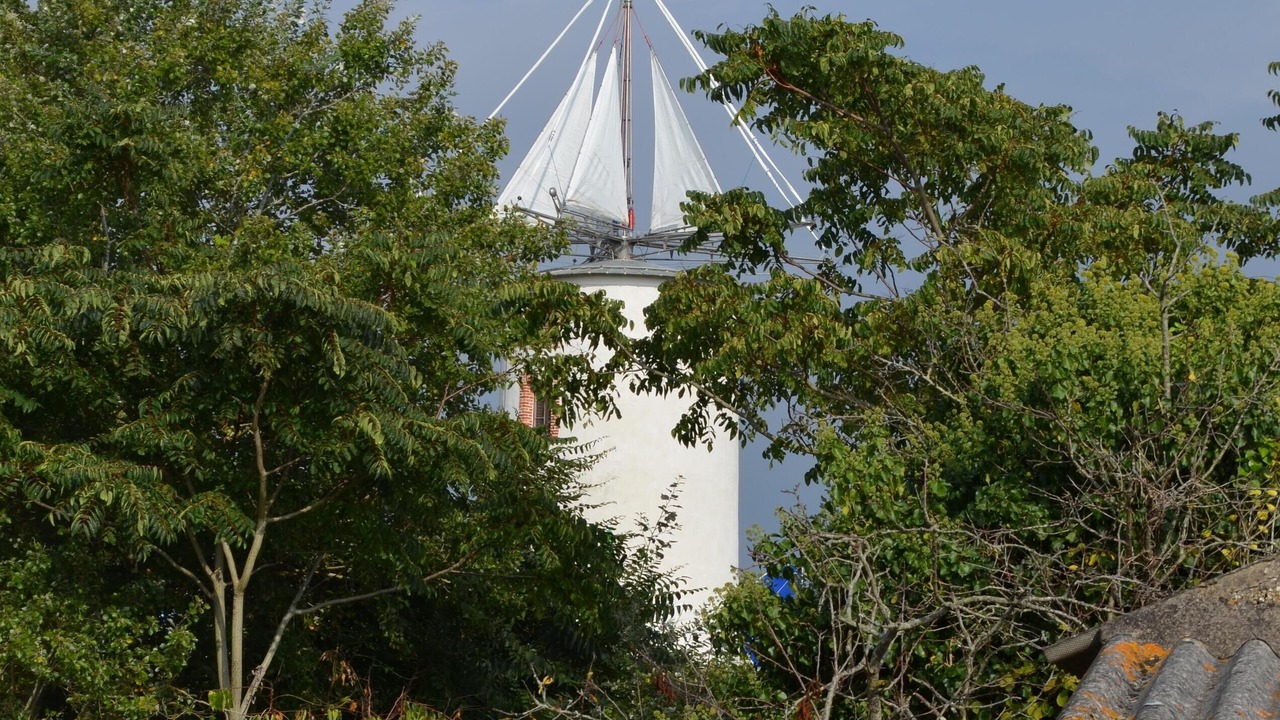 Photo of Outdoor in Notre-Dame-de-Monts