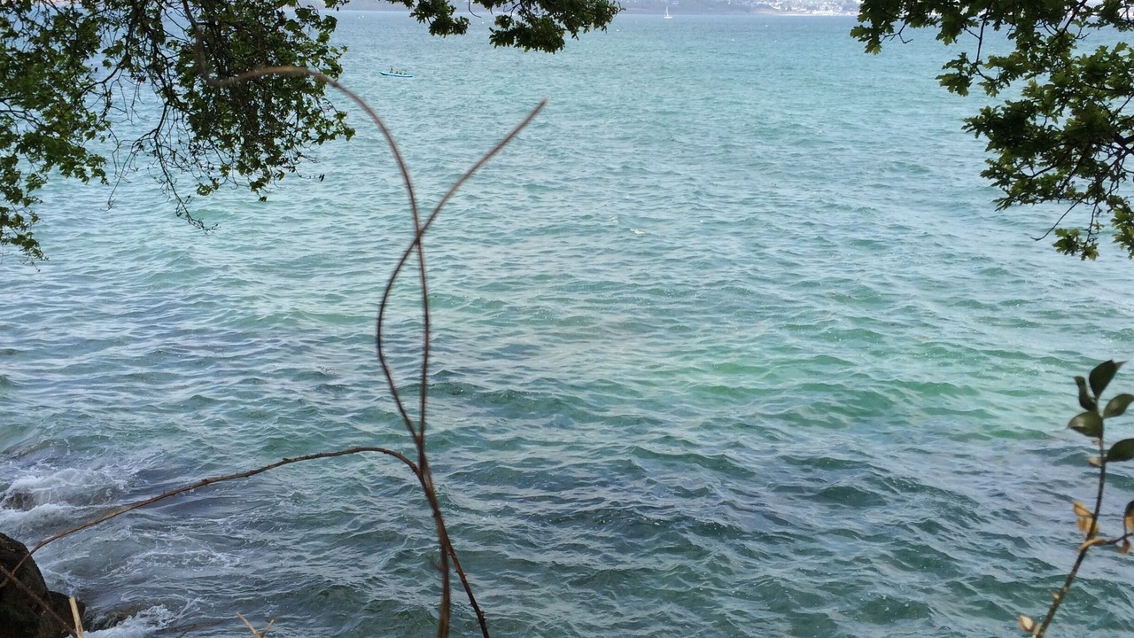 Photo of Others in Fouesnant