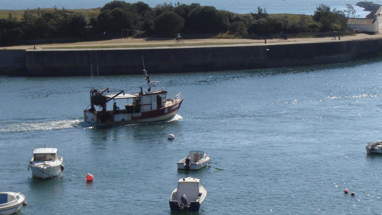Photo of Others in Saint-Gilles-Croix-de-Vie