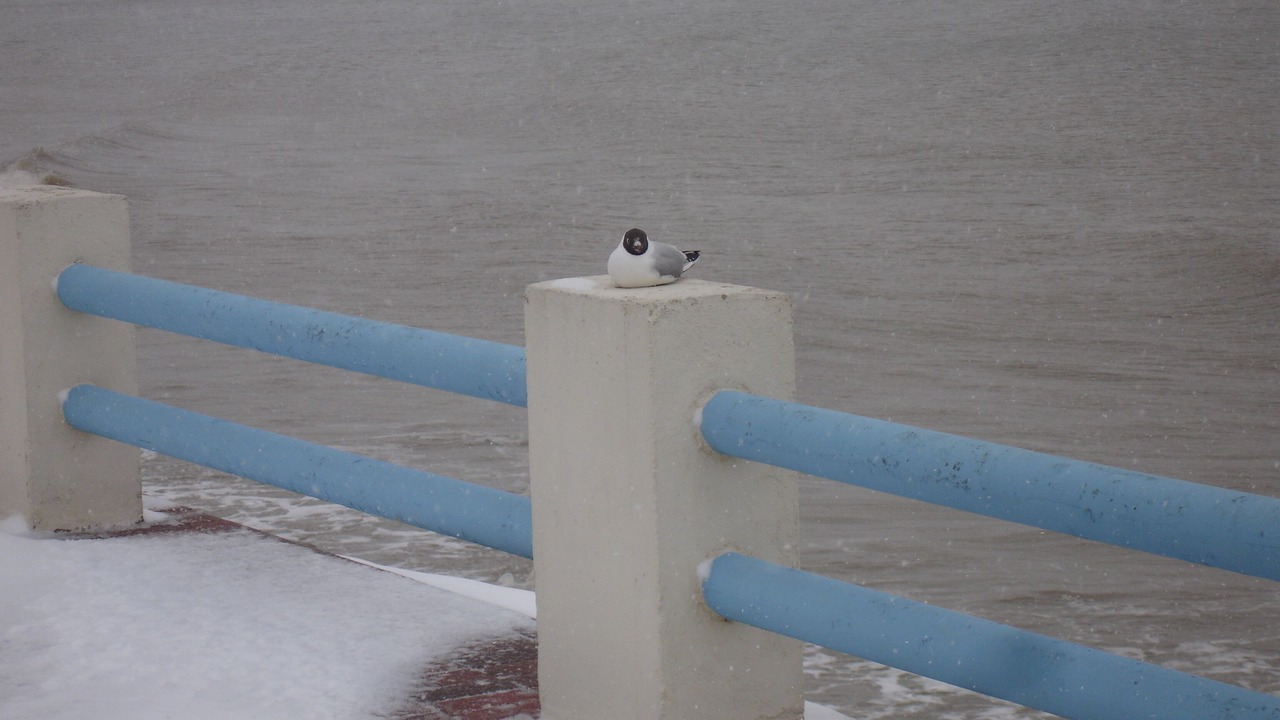 Photo of Others in Quend-Plage-les-Pins
