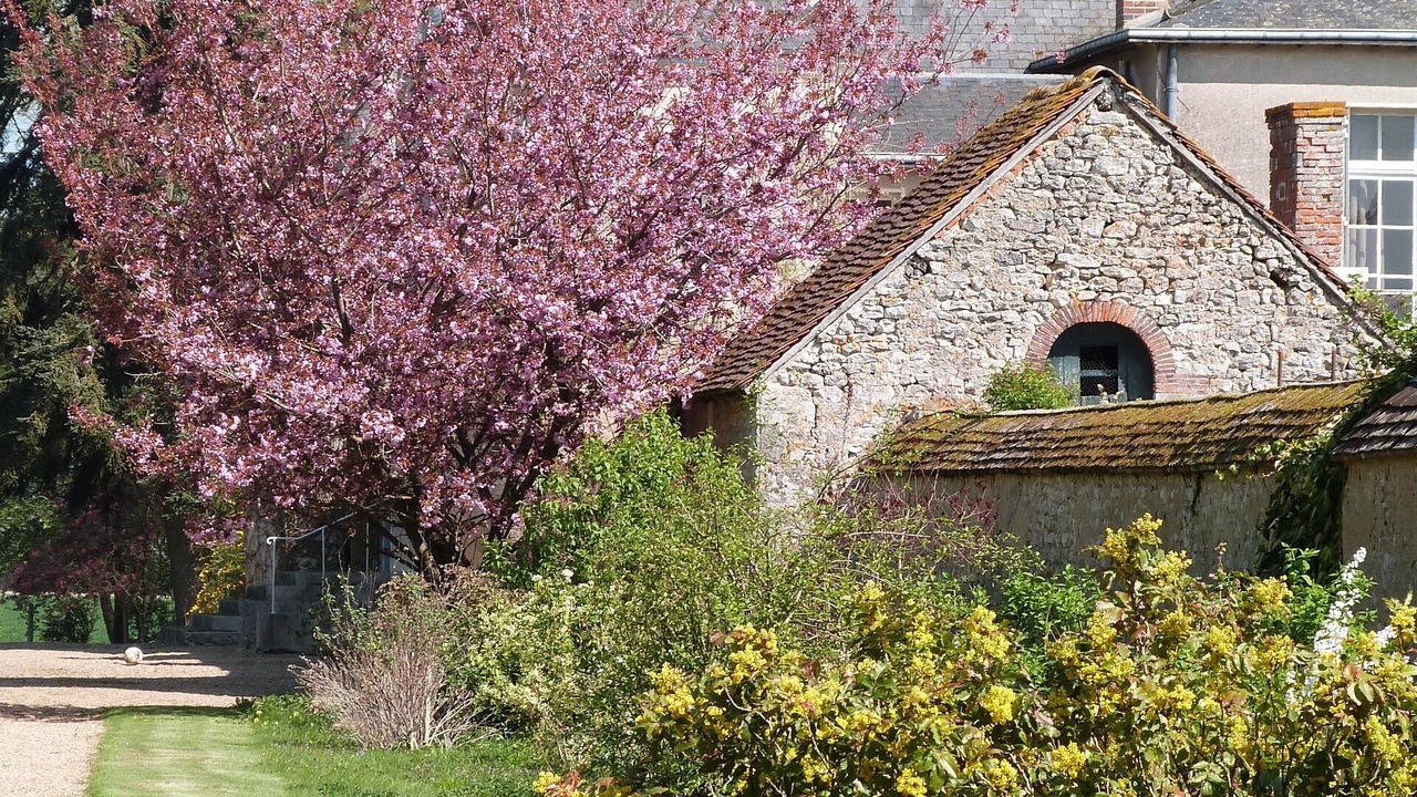 Photo of Outdoor in La Chapelle-du-Noyer