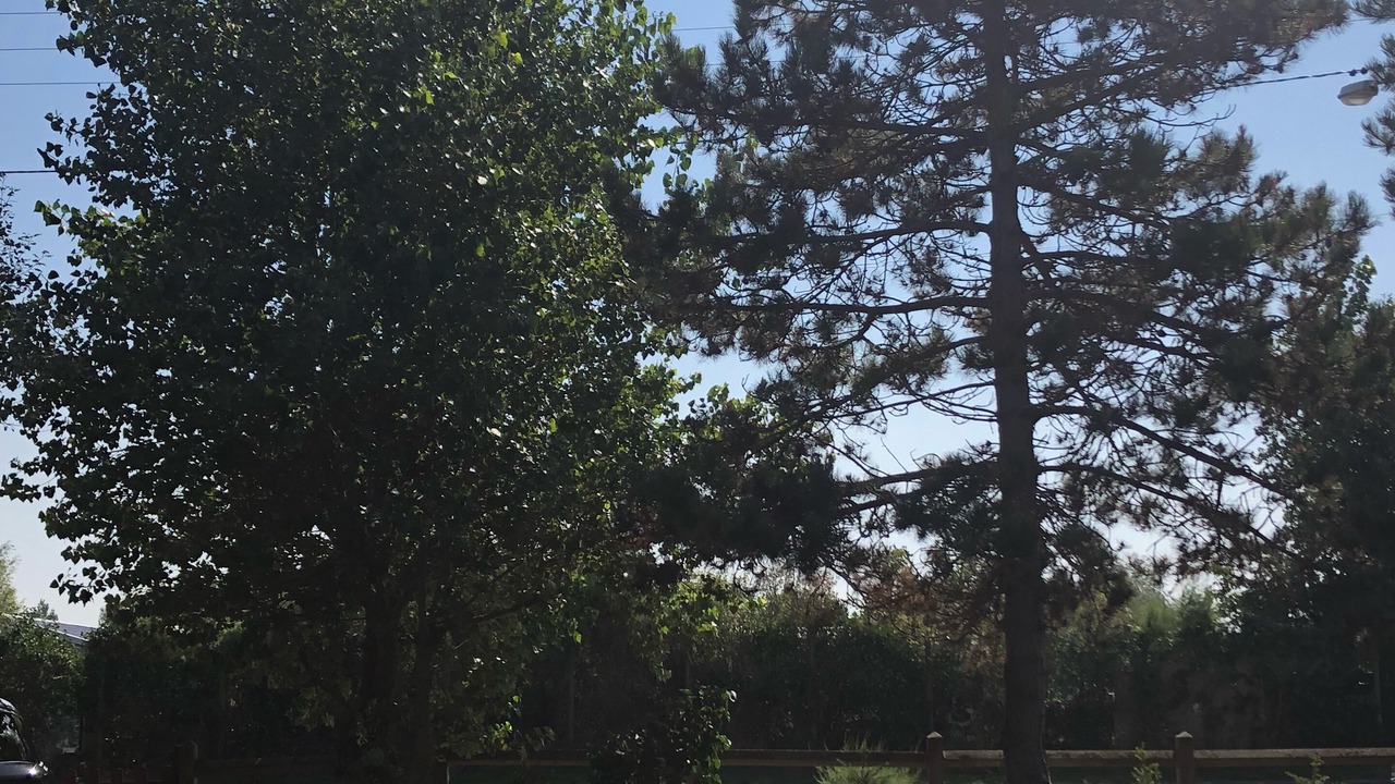 Photo of Outdoor in Bray-Dunes