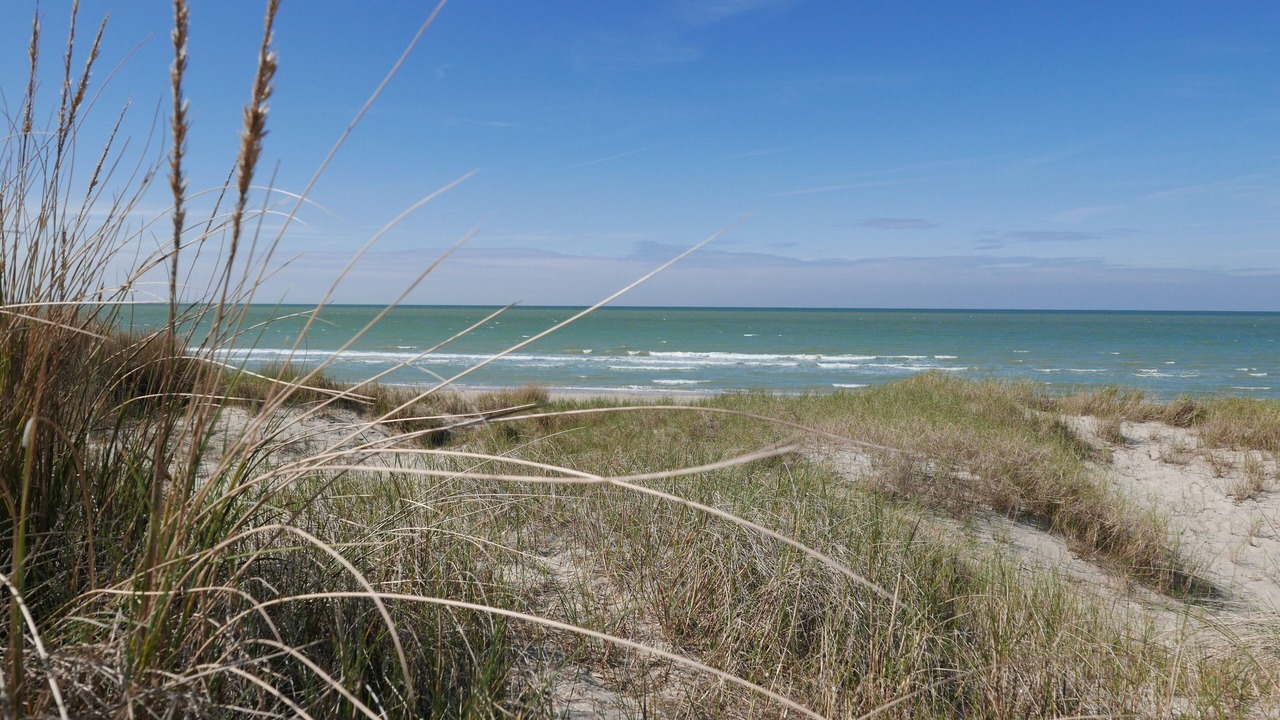 Photo of Others in Bray-Dunes