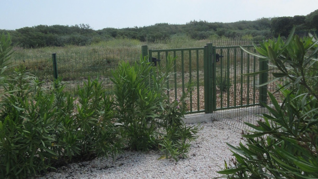 Photo of Outdoor in Saint-Cyprien Plage