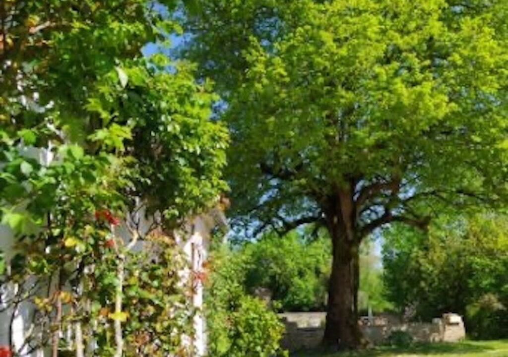 Photo of Outdoor in Champagne-les-Marais