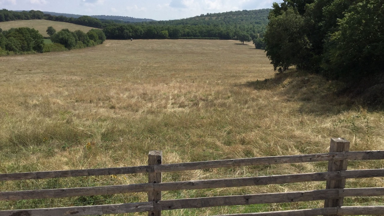 Photo of Others in Brengues