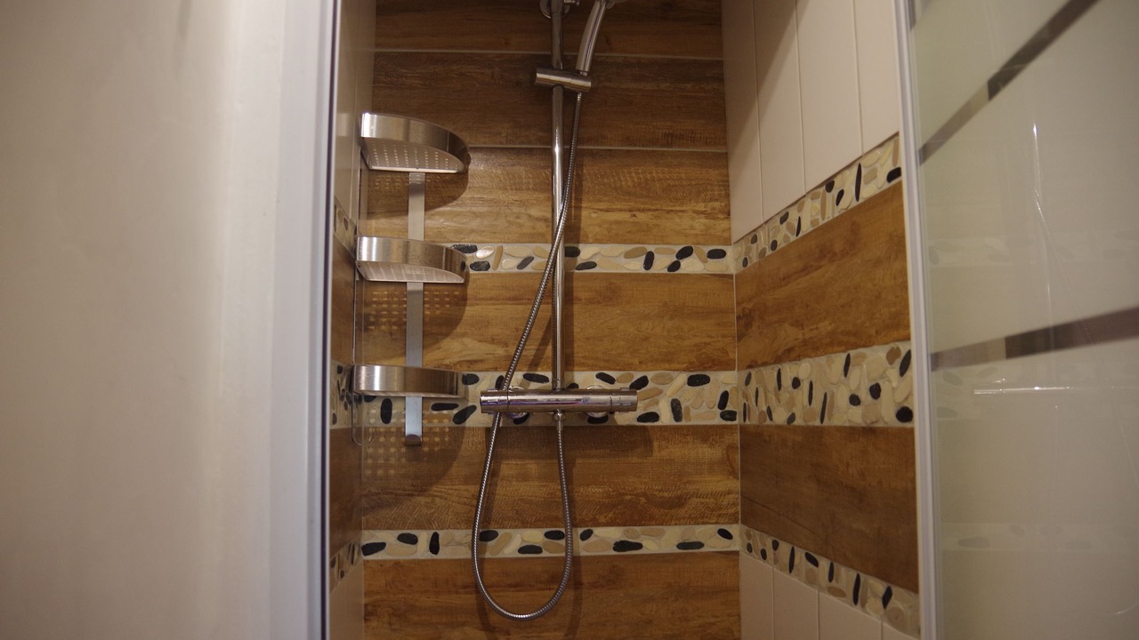 Photo of Bathroom in Saint-Alban-Leysse