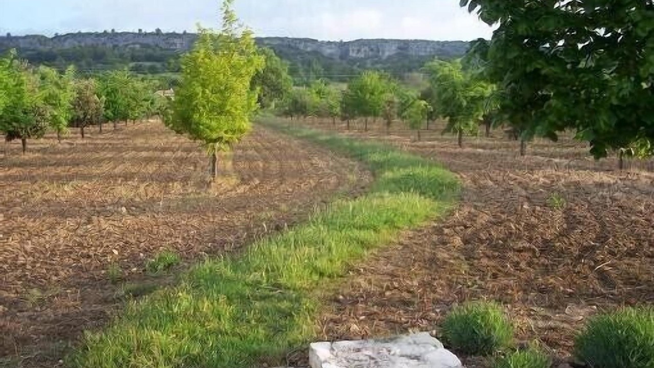 Photo of Outdoor in Joucas