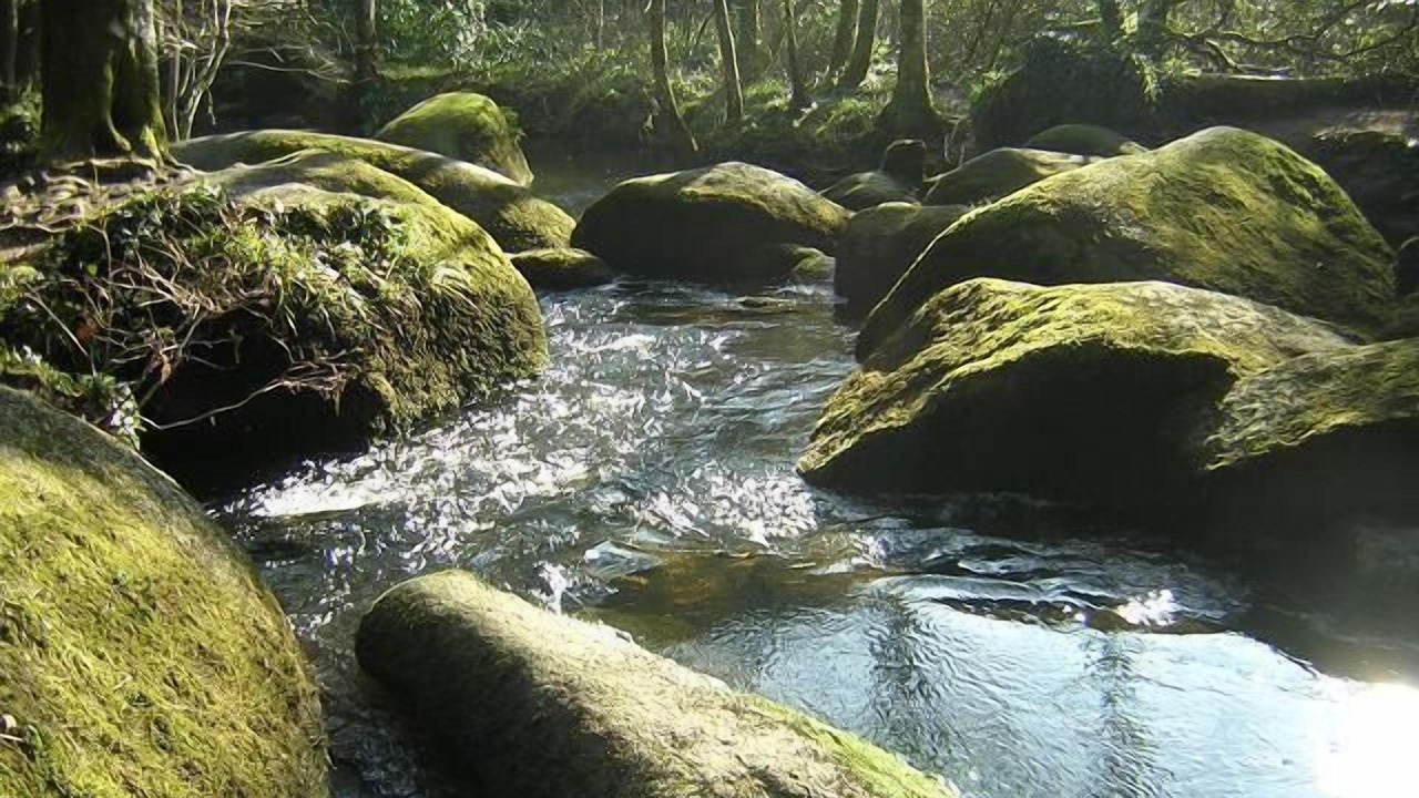 Photo of Outdoor in Guillac