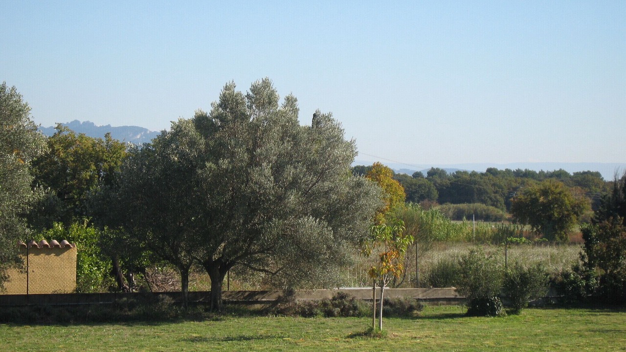 Photo of Outdoor in Serignan-du-Comtat