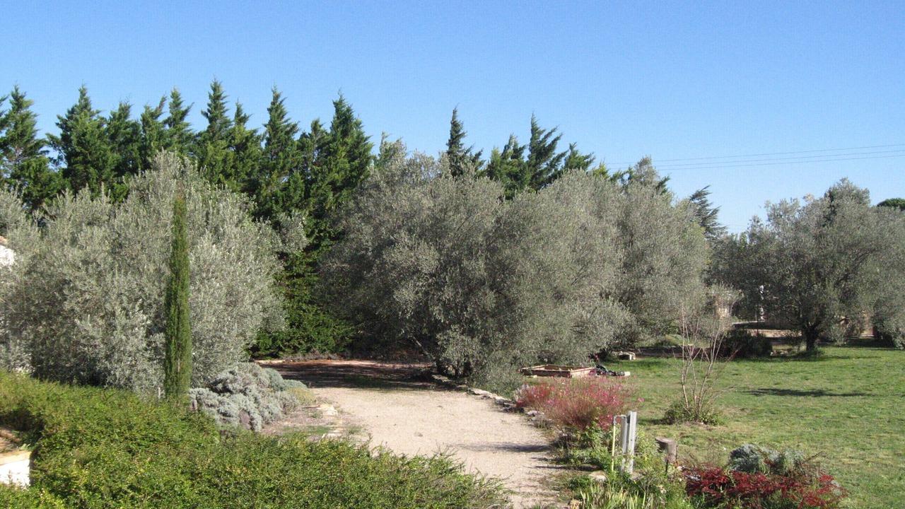Photo of Outdoor in Serignan-du-Comtat