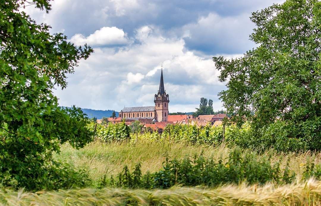 Photo of Outdoor in Bernardswiller