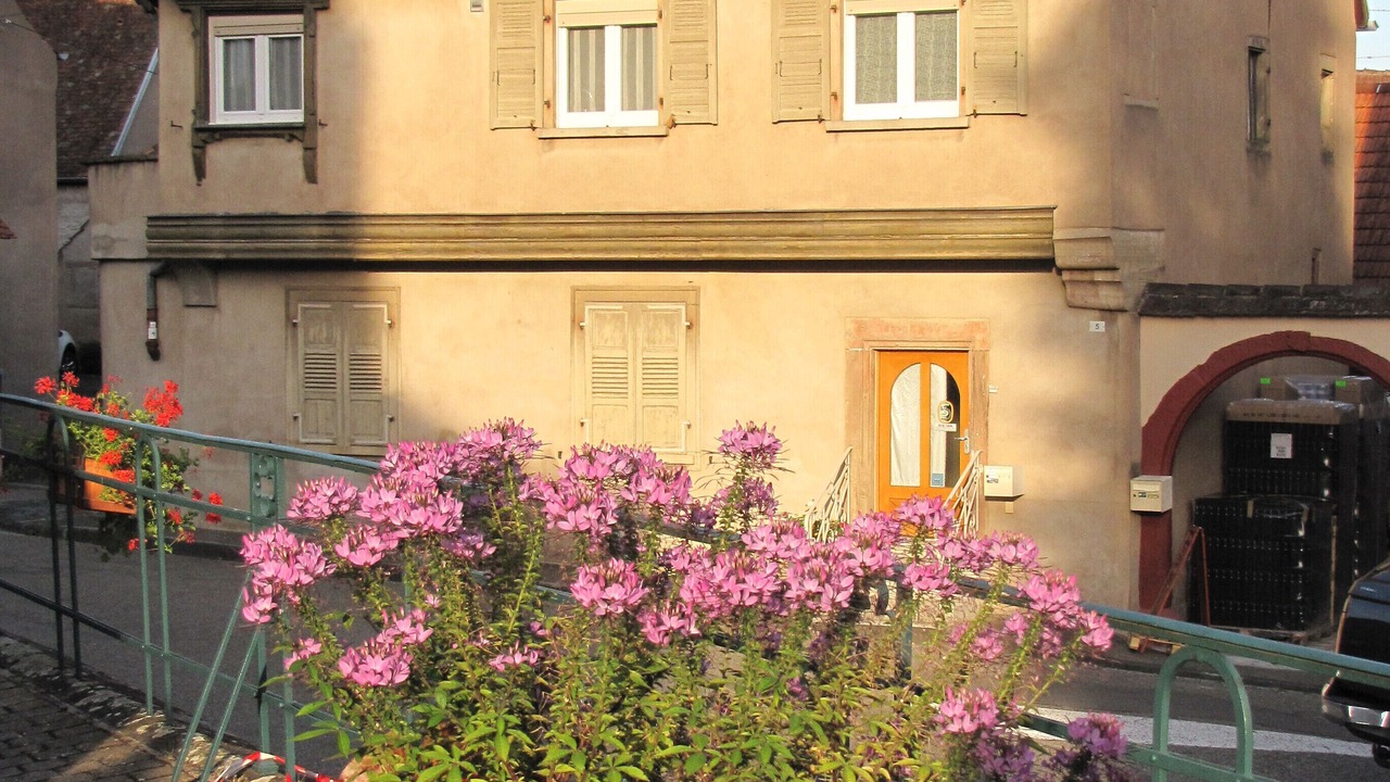 Photo of Outdoor in Bernardswiller