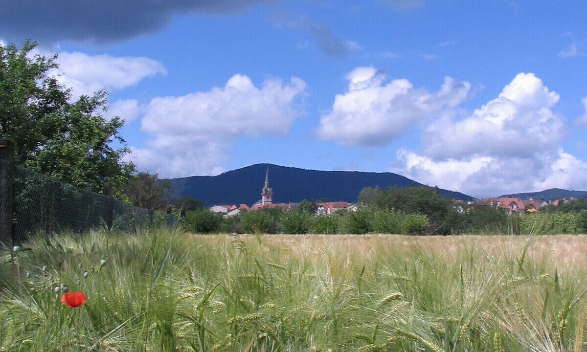 Photo of Outdoor in Bernardswiller