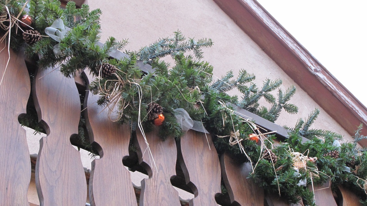 Photo of Outdoor in Bernardswiller