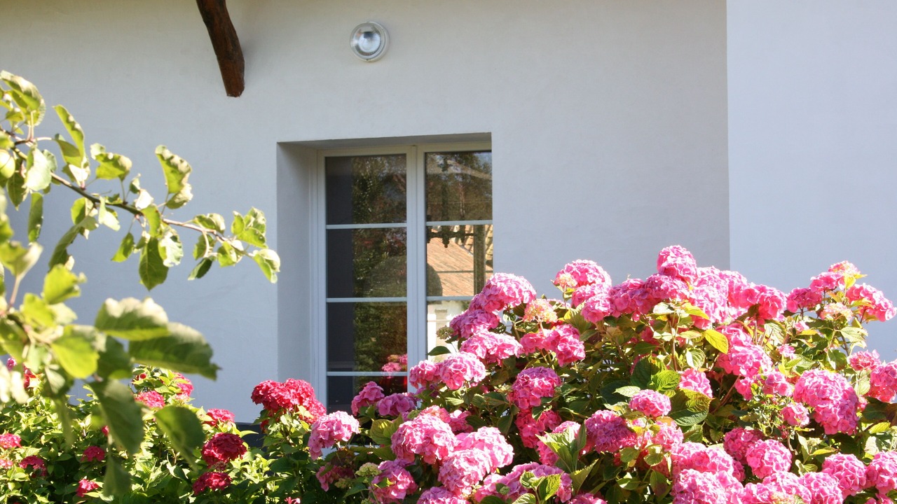 Photo of Outdoor in Verton