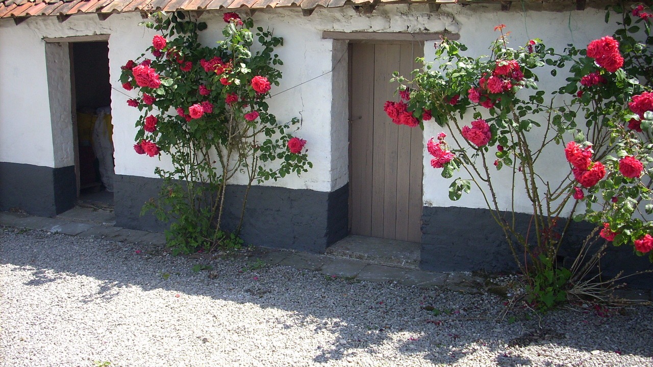 Photo of Outdoor in Verton