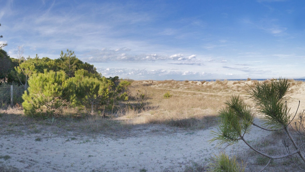 Photo of Others in Sorbo-Ocagnano