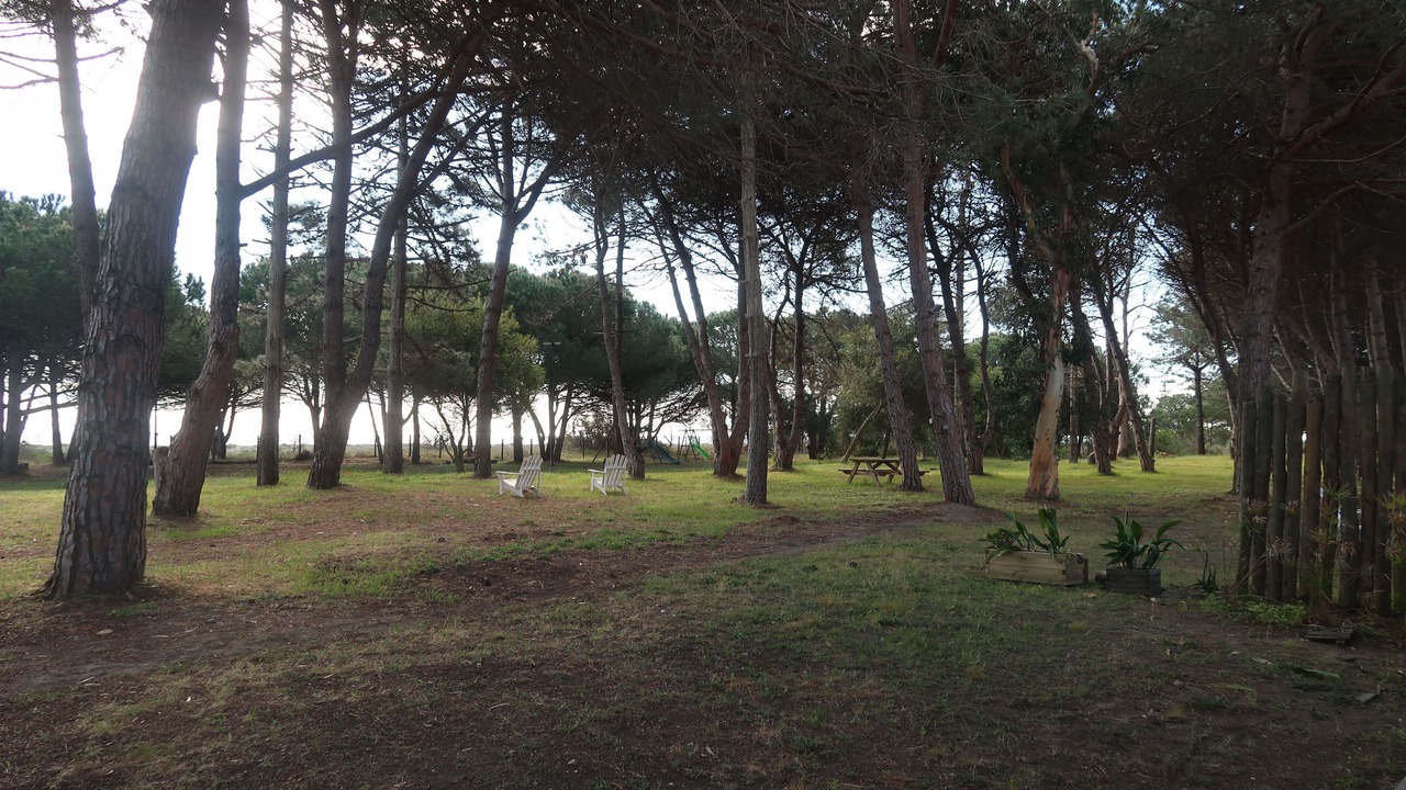 Photo of Outdoor in Sorbo-Ocagnano