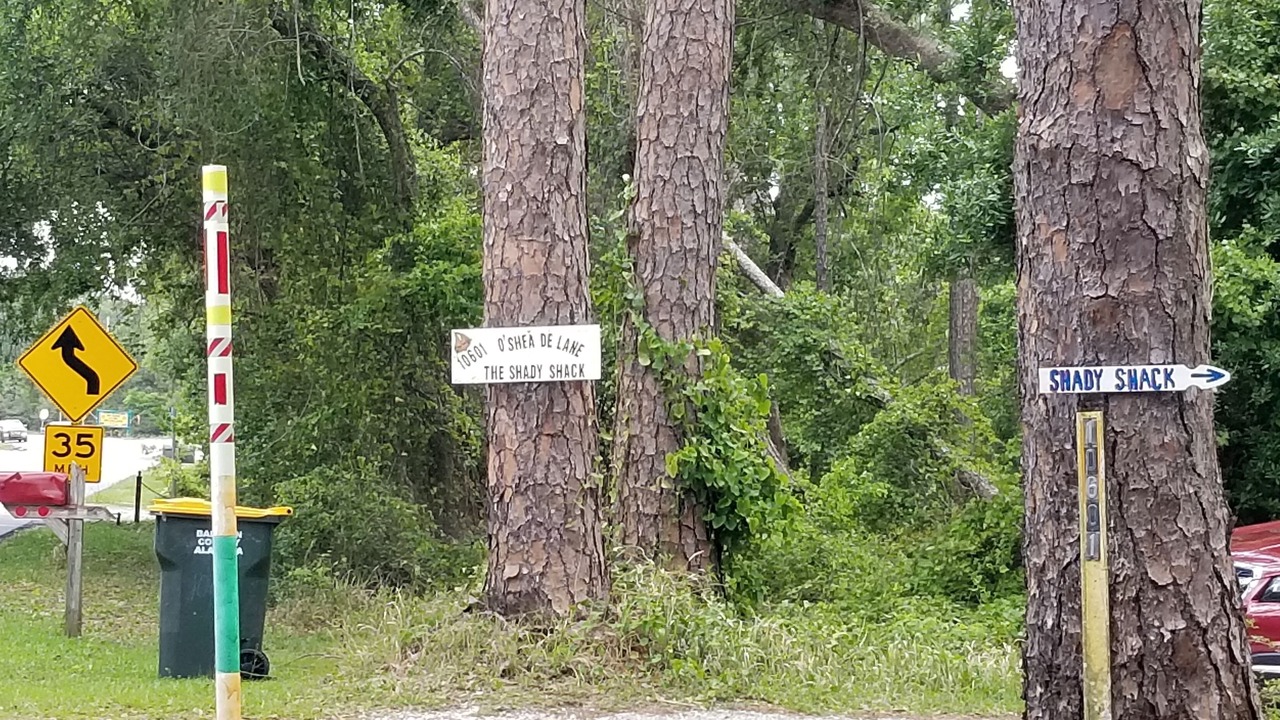 Photo of Outdoor in Gulf Shores