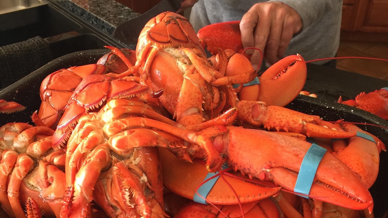 Photo of Others in Bonshaw