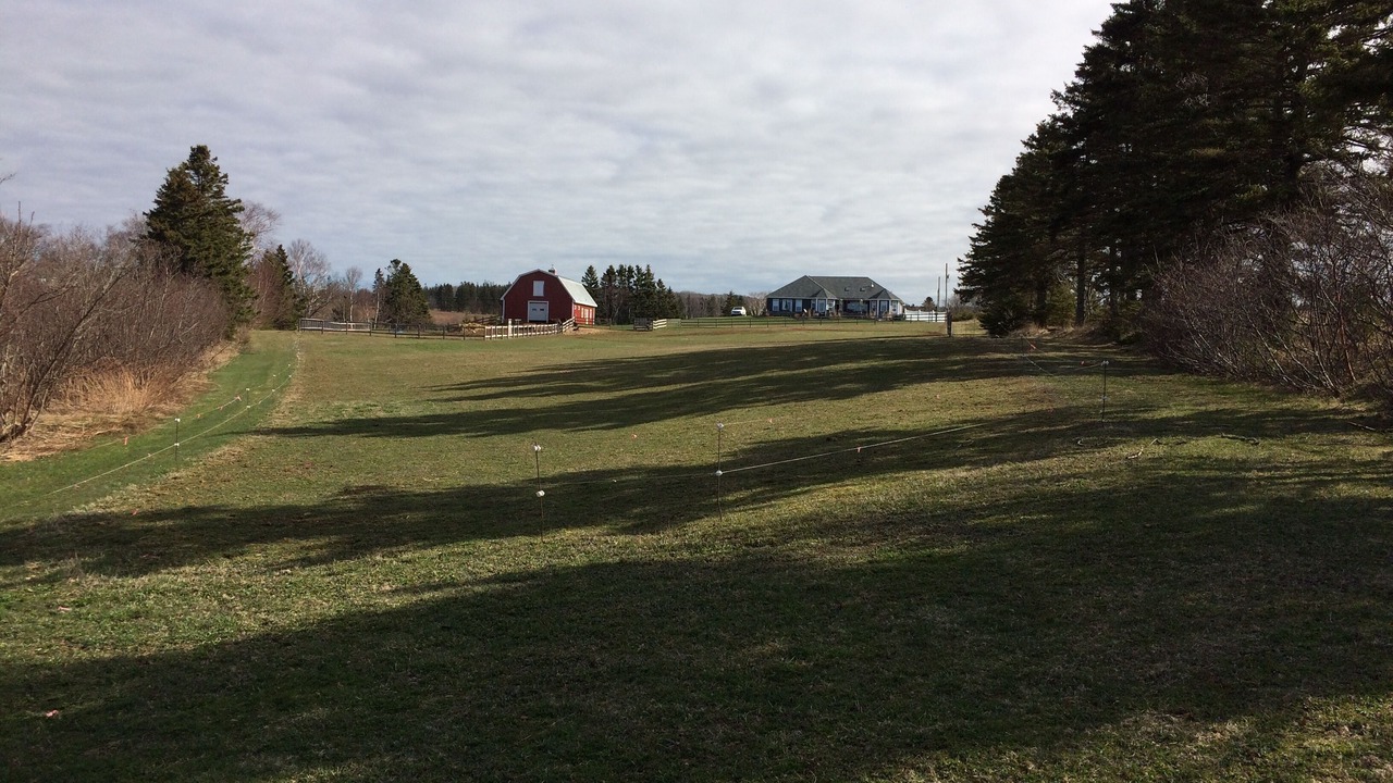 Photo of Others in Bonshaw