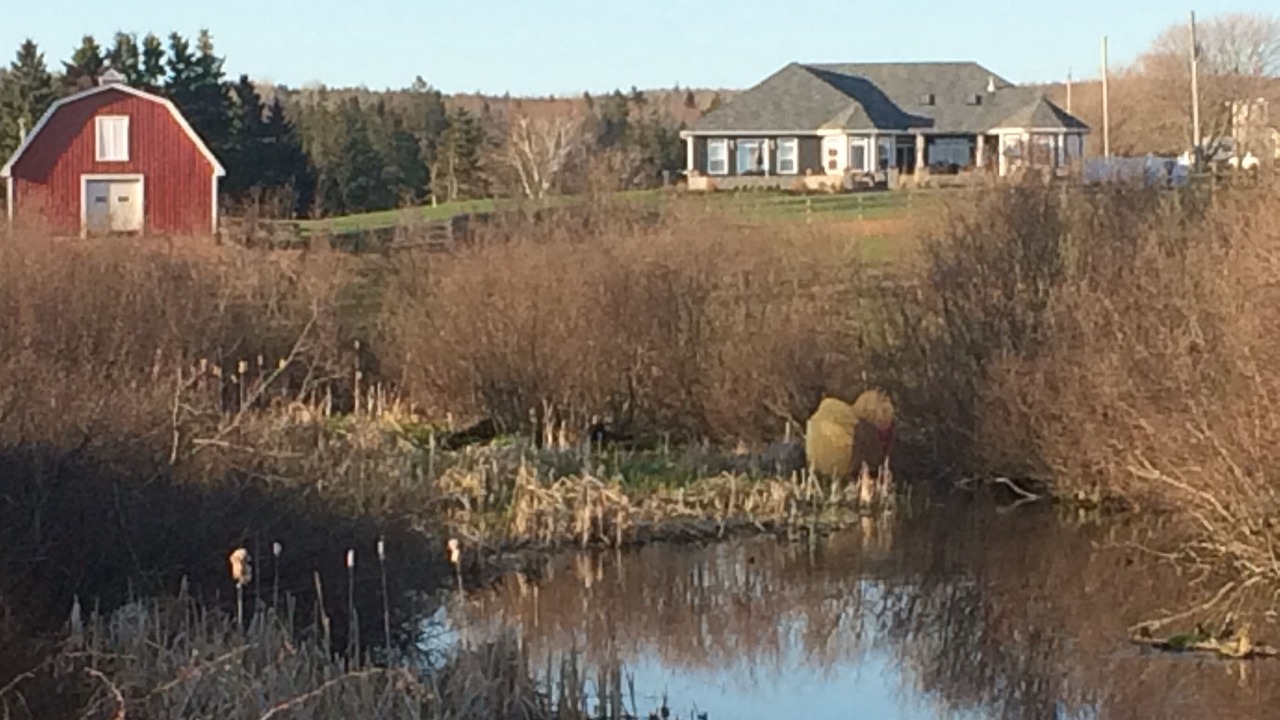 Photo of Outdoor in Bonshaw