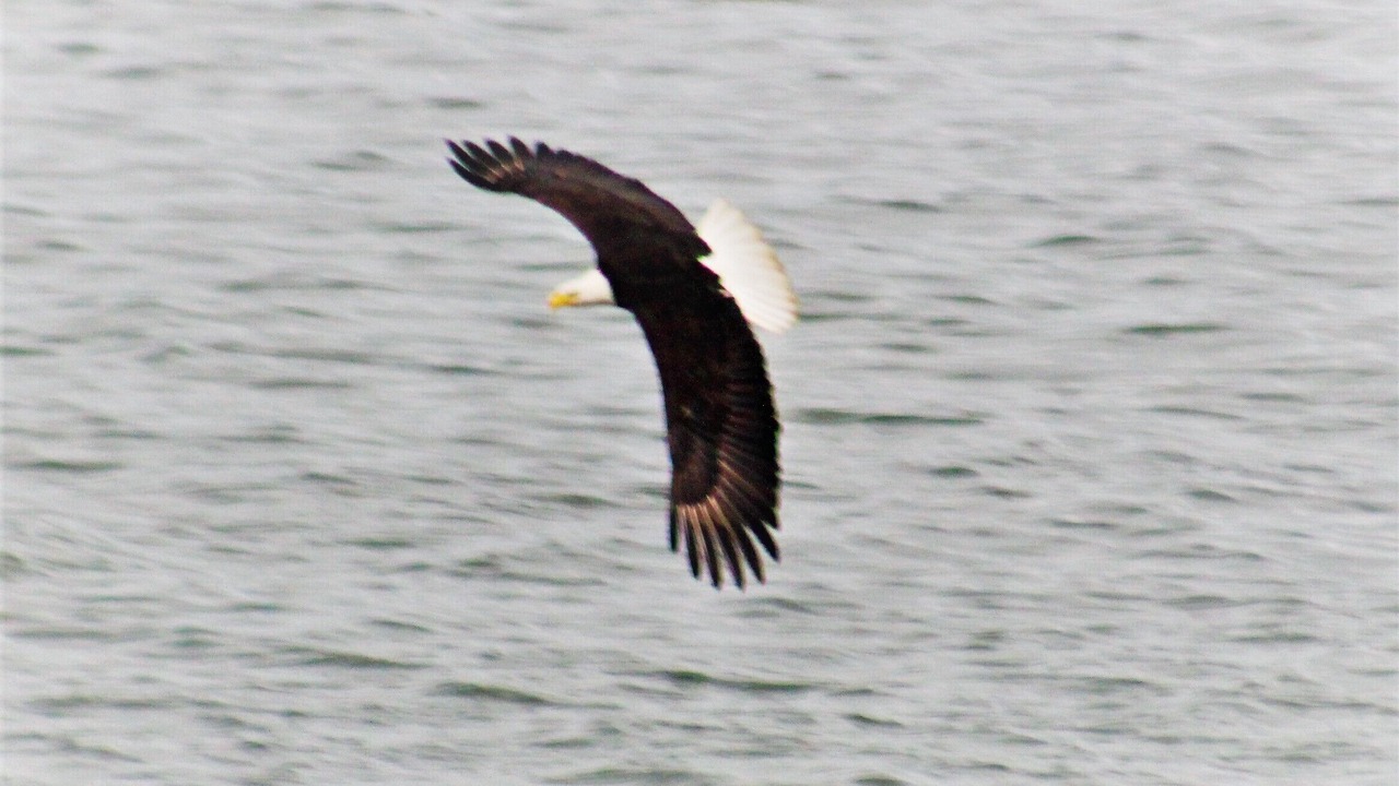 Photo of Others in Hernando