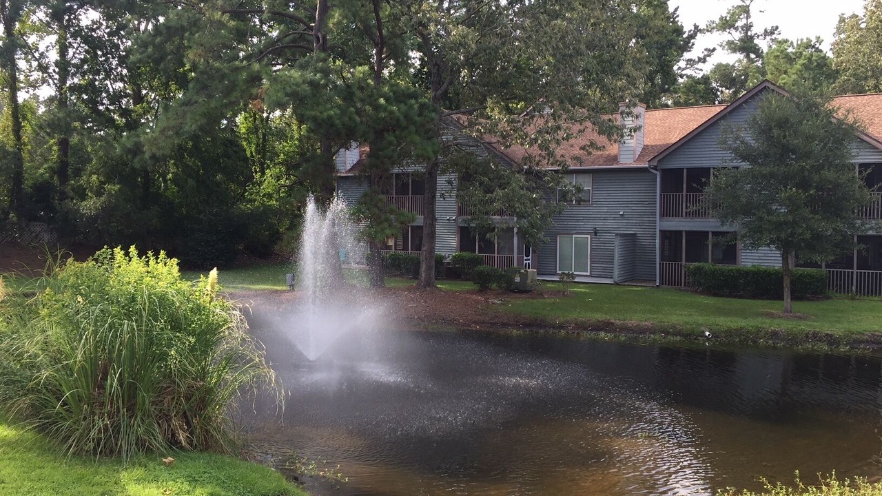 Photo of Outdoor in North Charleston