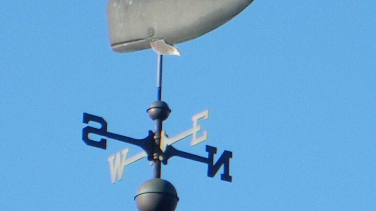 Photo of Others in Lopez Island