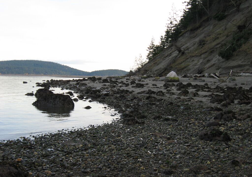 Photo of Others in Lopez Island