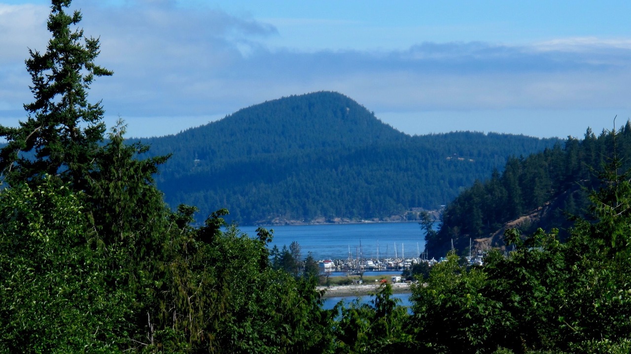 Photo of Others in Lopez Island