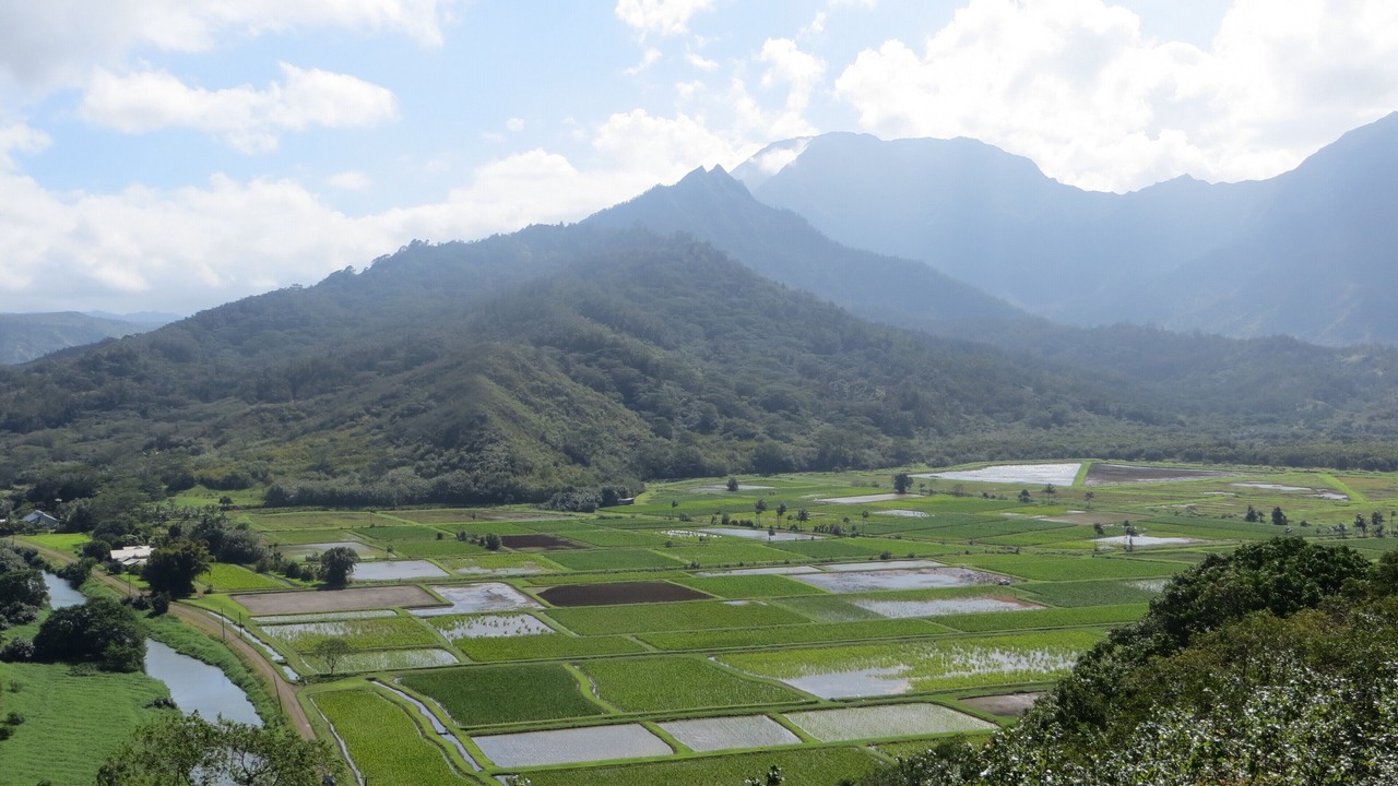 Photo of Others in Princeville