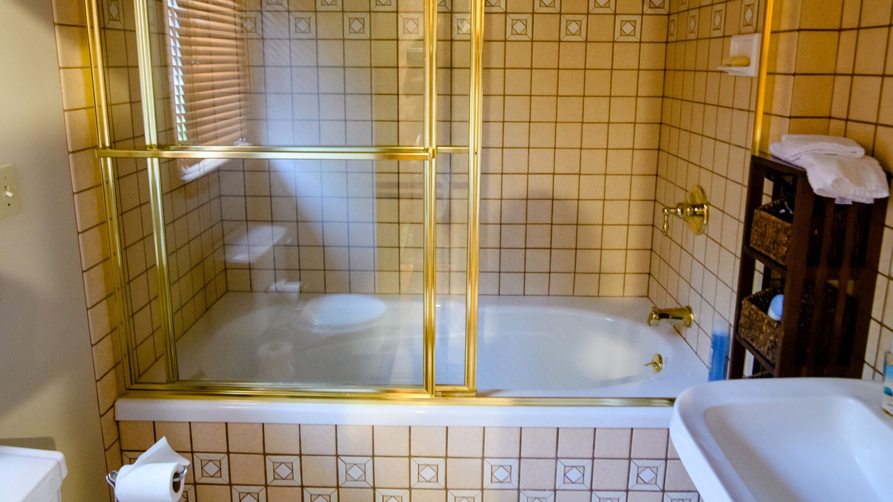Photo of Bathroom in Roach