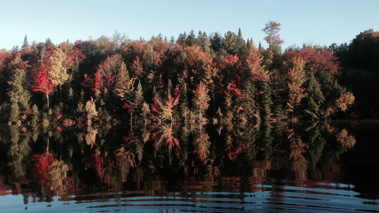 Photo of Outdoor in Mille-Isles