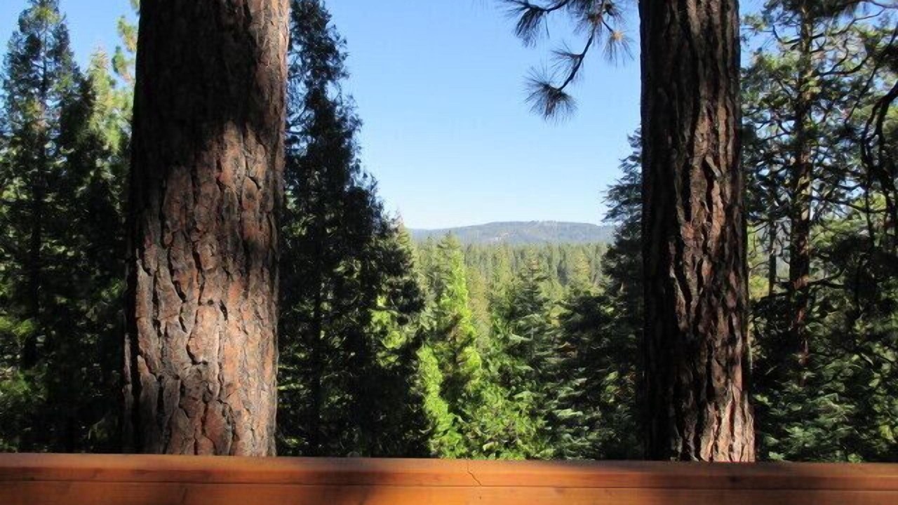 Photo of Others in Long Barn