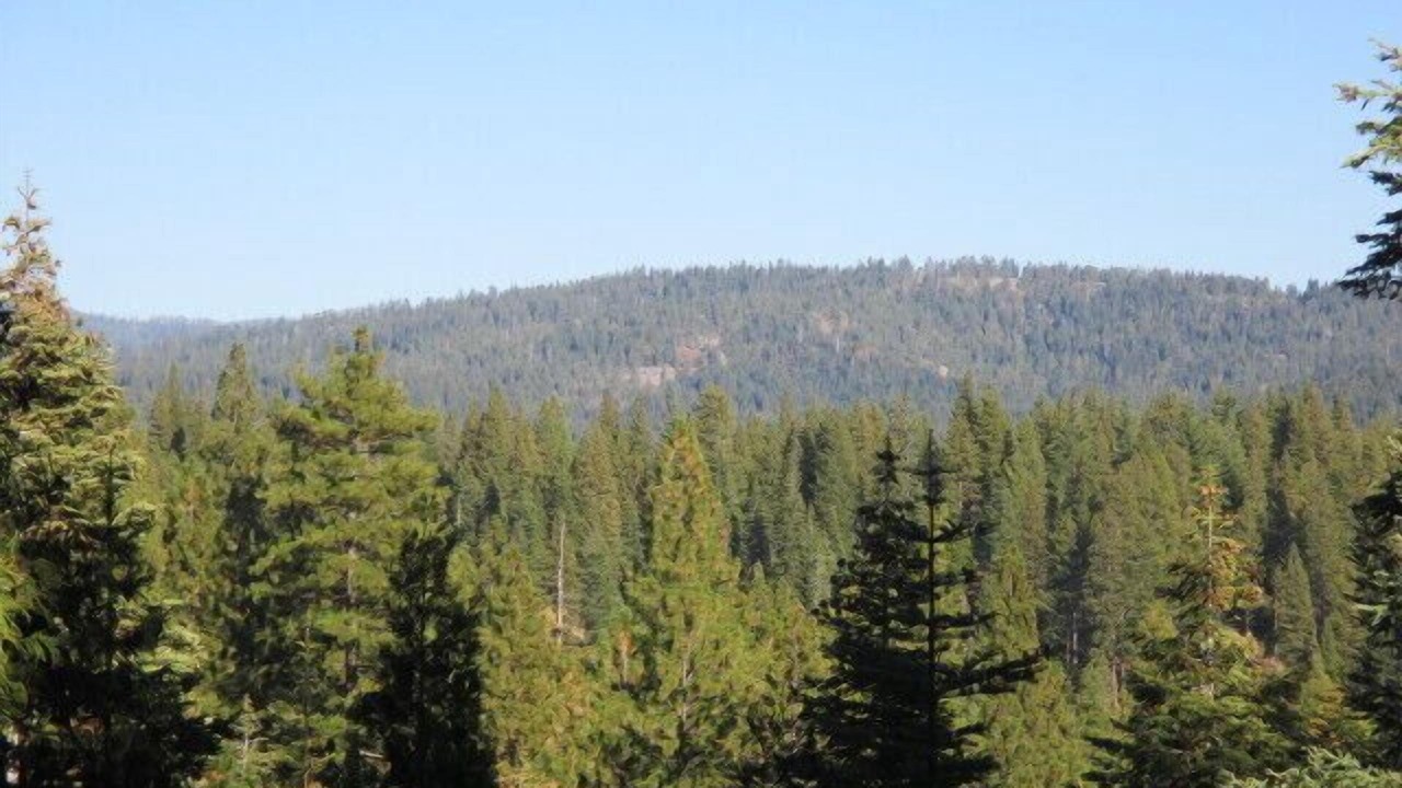 Photo of Others in Long Barn