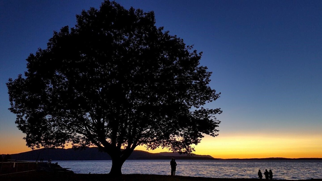 Photo of Others in Fairhaven