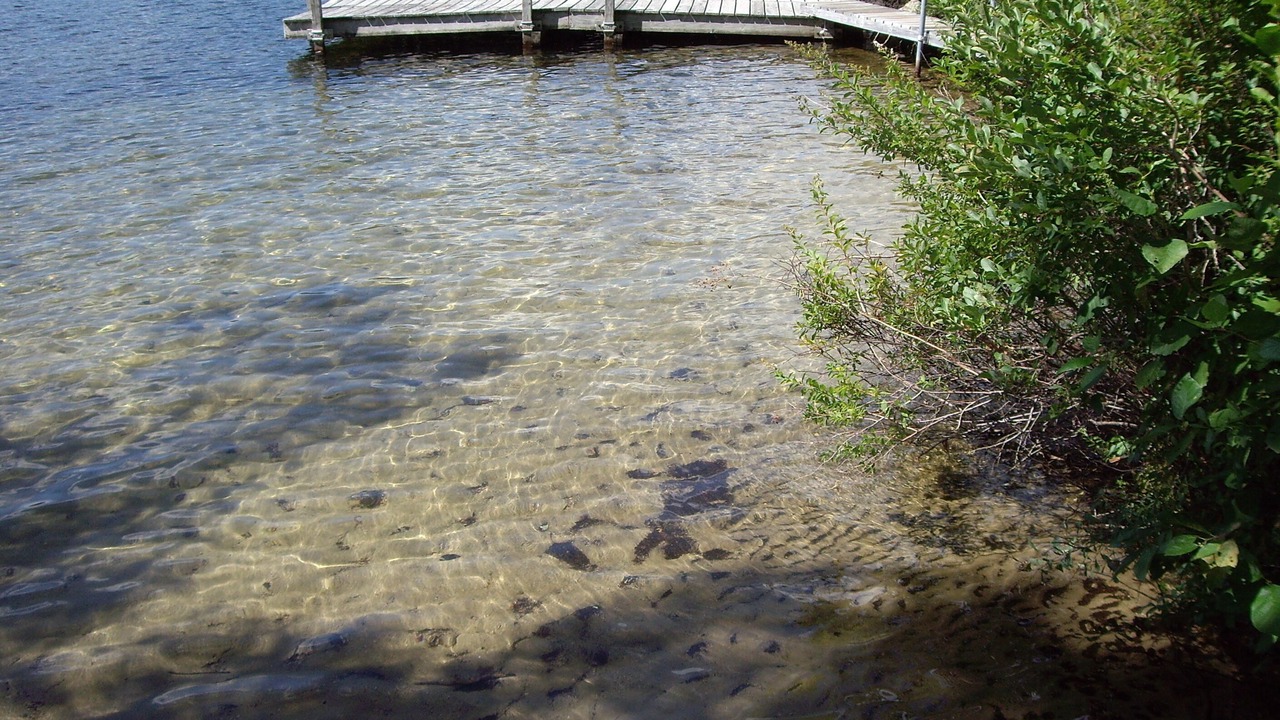 Photo of Others in Alton Bay