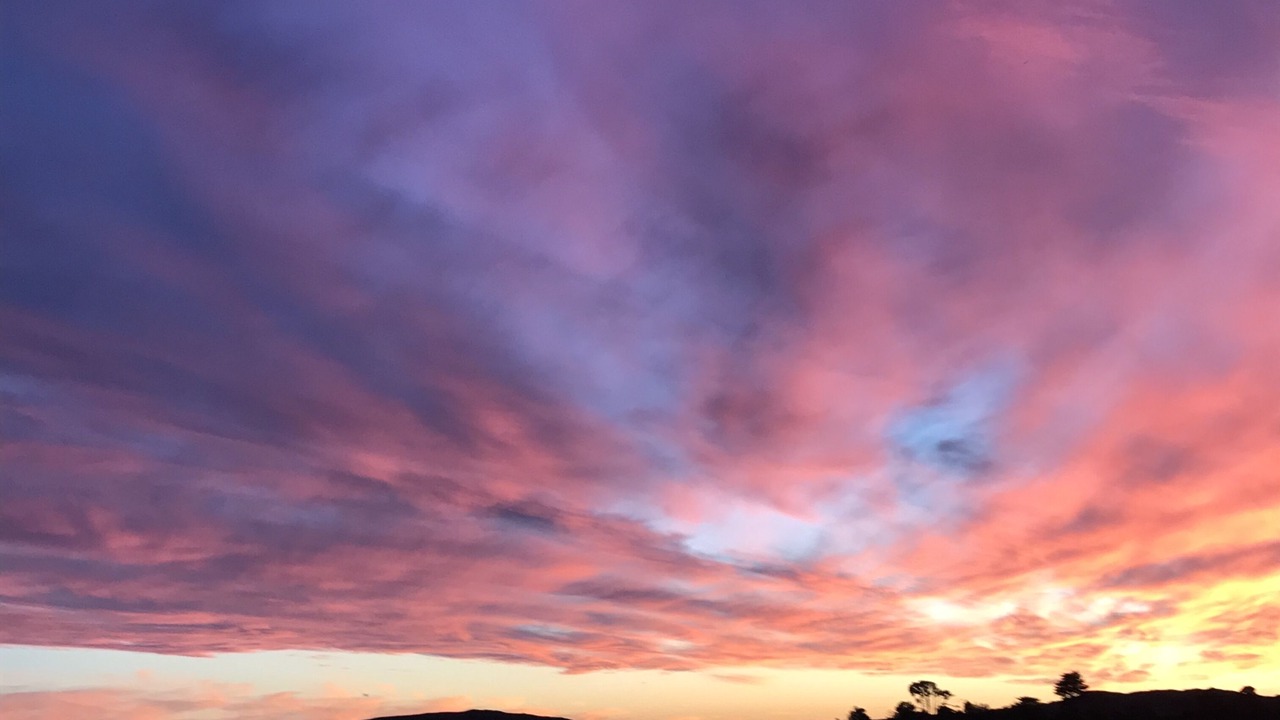 Photo of Others in Old Town