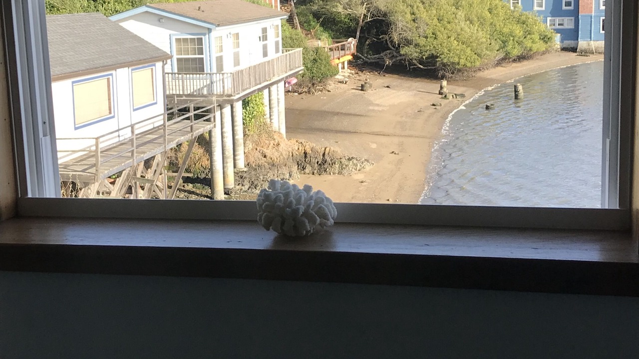 Photo of Others in Old Town