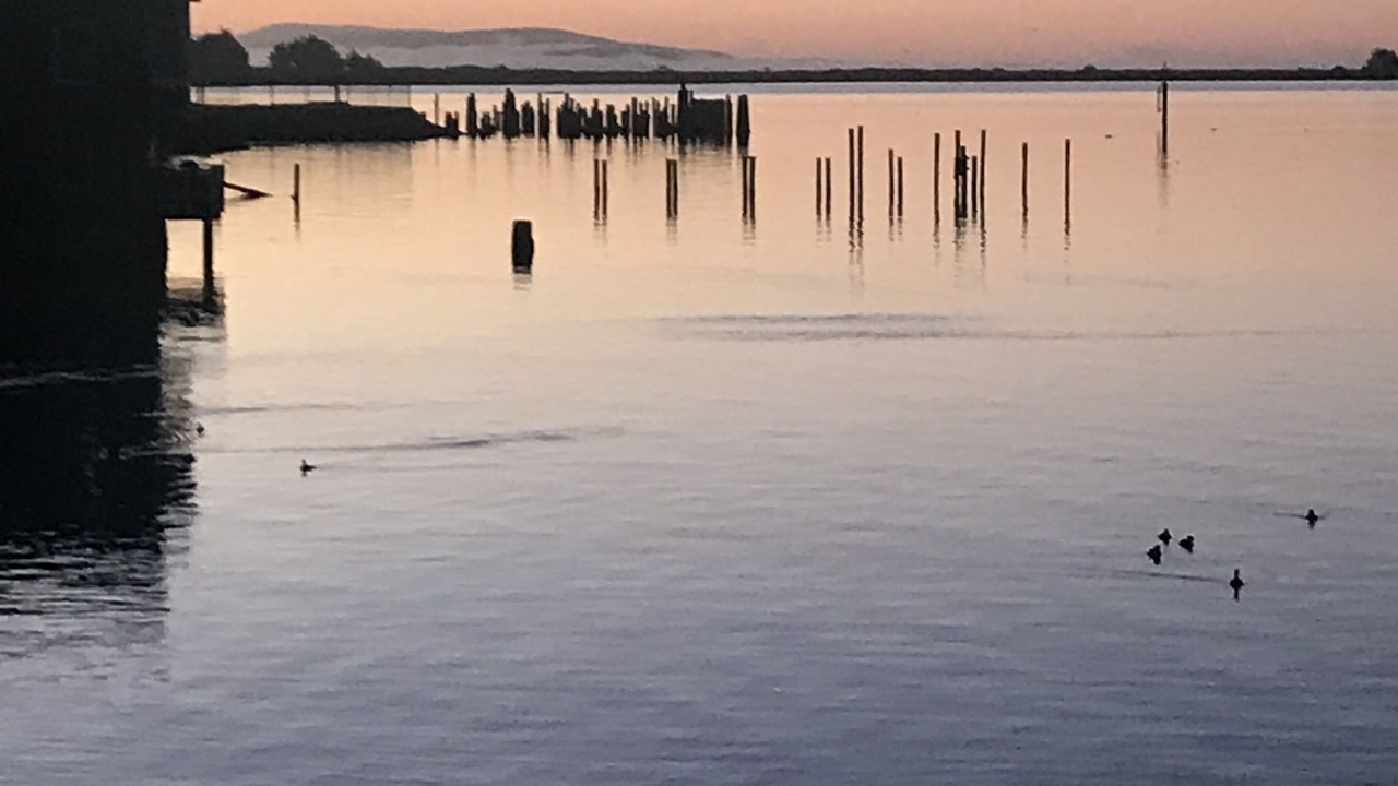 Photo of Others in Old Town